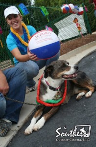 Pets at outdoor movie events